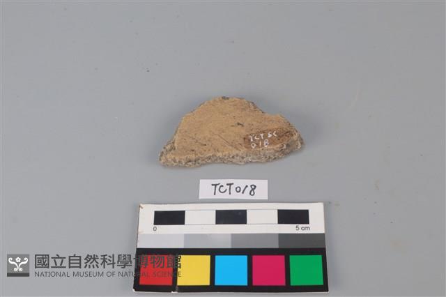 陶片藏品圖，第2張