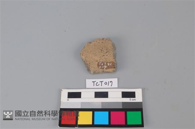 陶片藏品圖，第2張