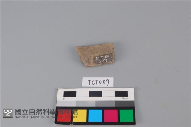 陶片藏品圖，第2張