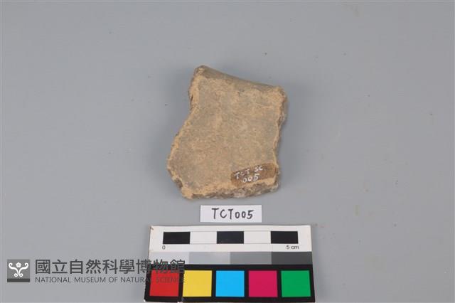 陶片藏品圖，第2張