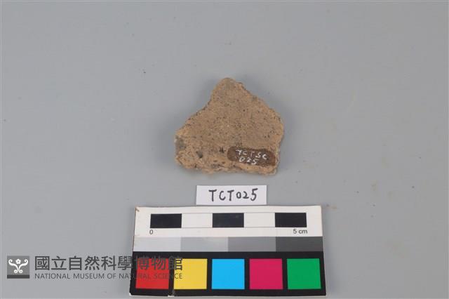 陶片藏品圖，第2張