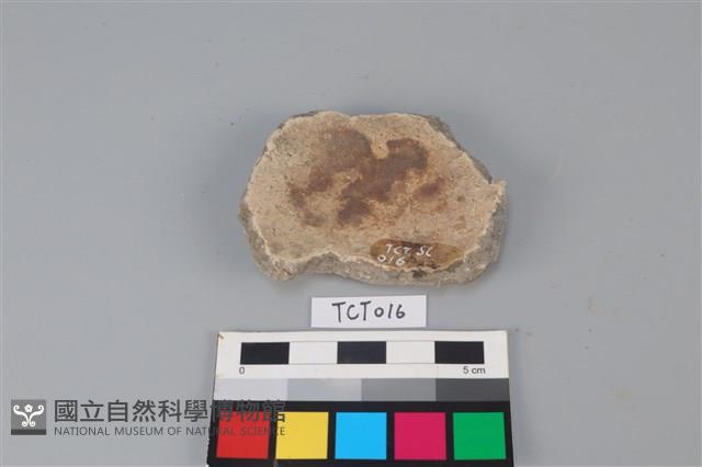 陶片藏品圖，第2張