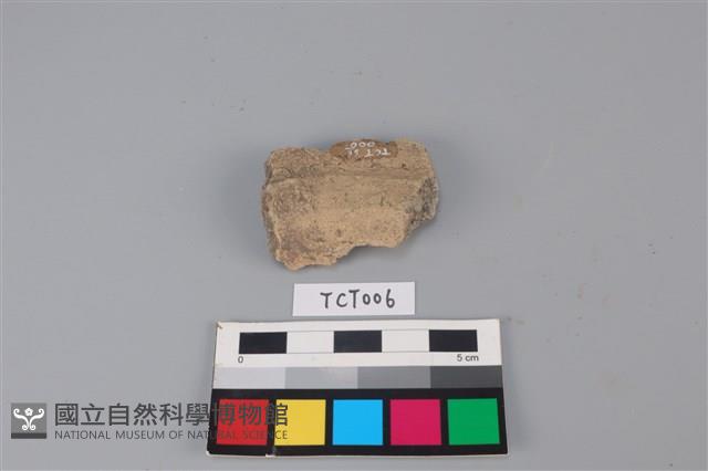 陶片藏品圖，第2張