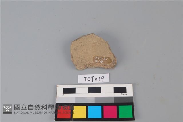 陶片藏品圖，第2張