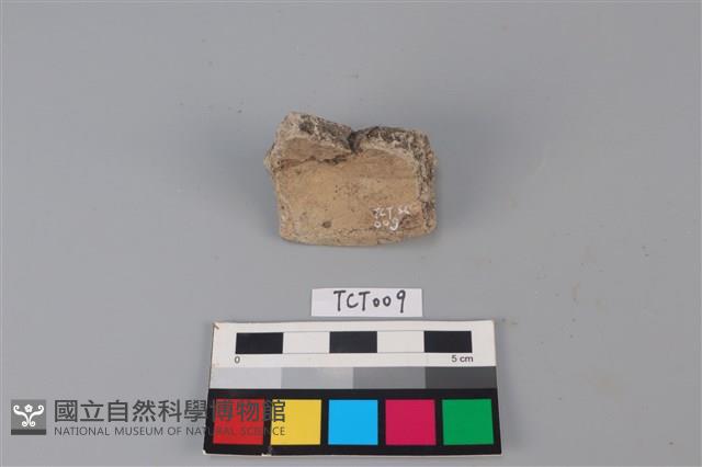 陶片藏品圖，第2張