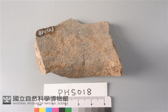 陶片藏品圖，第4張