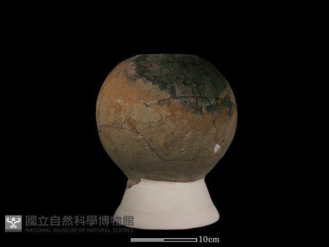 豆形器藏品圖，第1張