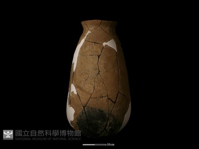 陶罐藏品圖，第5張