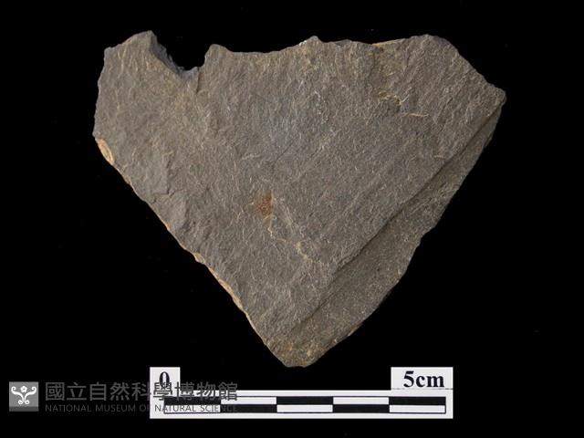 帶加工痕石材藏品圖，第4張