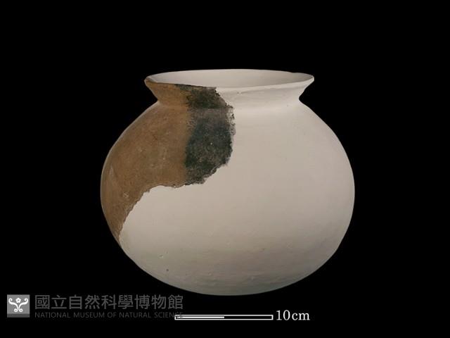 陶罐藏品圖，第5張