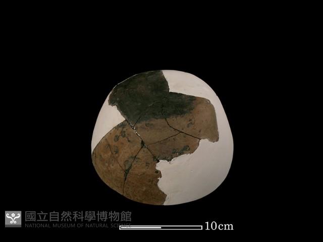 陶缽藏品圖，第5張