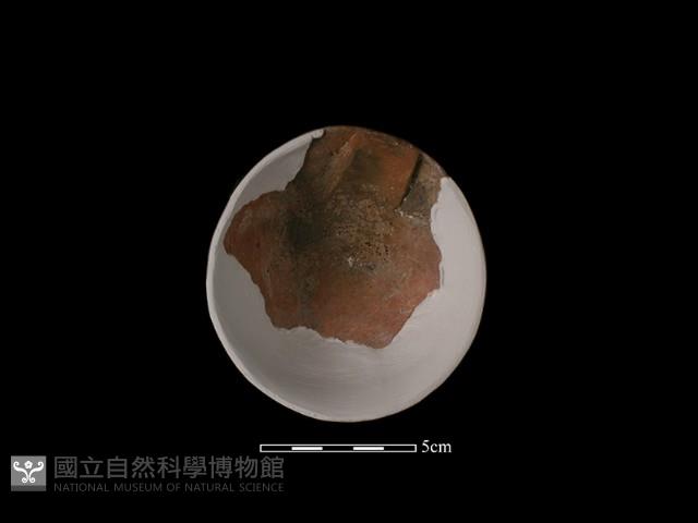 陶杯藏品圖，第5張