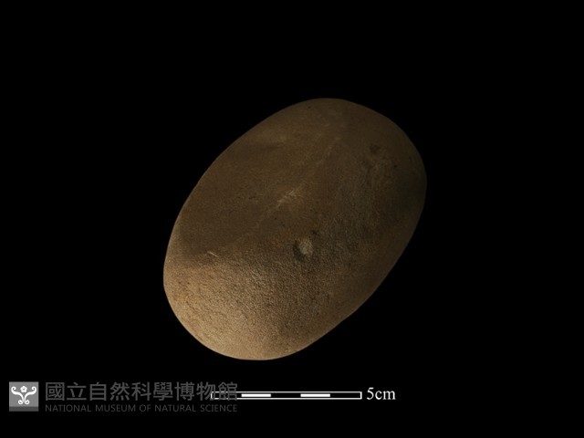 石鎚藏品圖，第4張