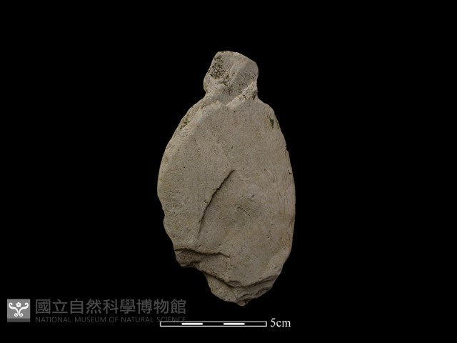 斧鋤形器藏品圖，第1張