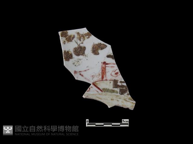 帶紋飾瓷片藏品圖，第1張