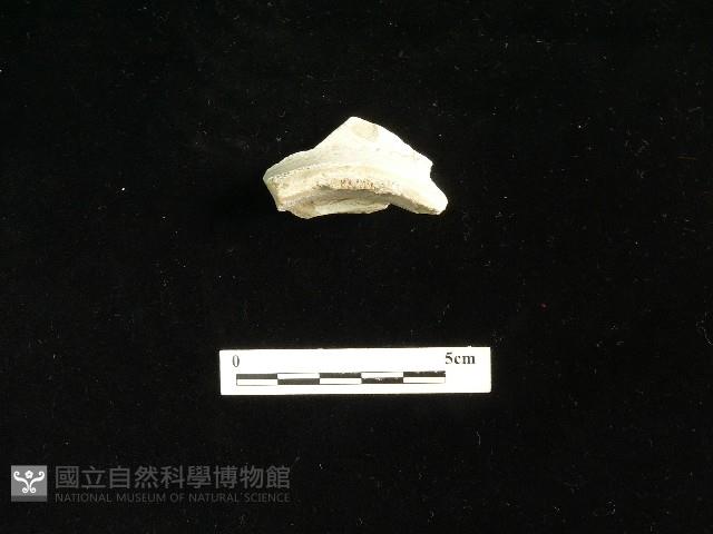 瓷碗藏品圖，第1張