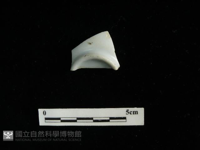 瓷杯藏品圖，第1張