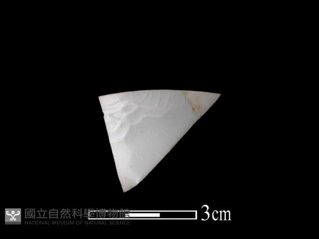 帶紋飾瓷片藏品圖，第1張