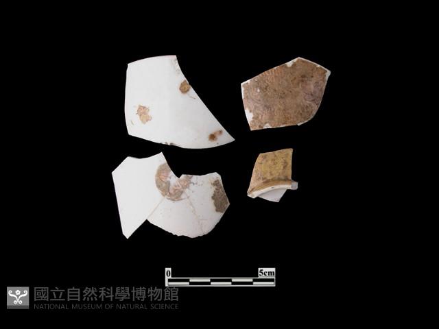 帶紋飾瓷片藏品圖，第1張