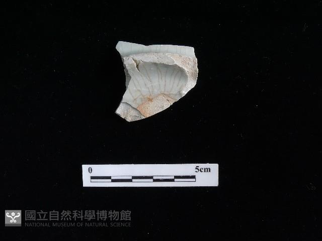 瓷盤藏品圖，第1張