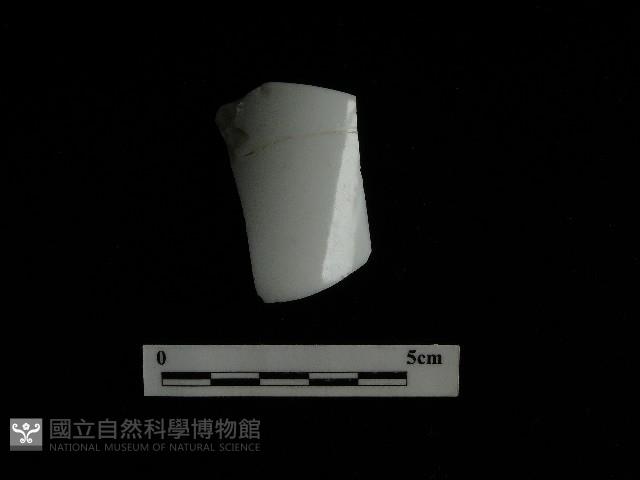 瓷杯藏品圖，第2張