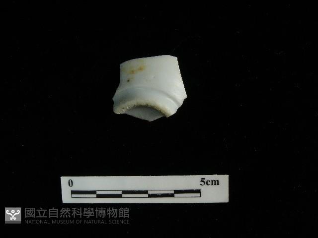 瓷杯藏品圖，第2張