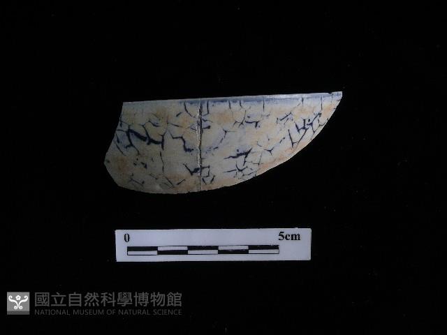 瓷碗藏品圖，第1張