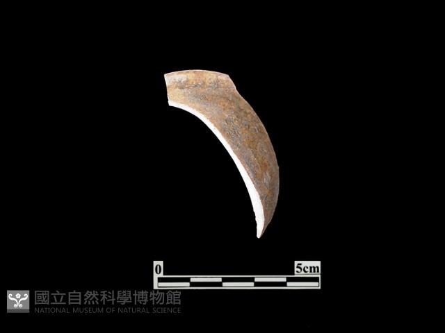 帶紋飾瓷片藏品圖，第1張