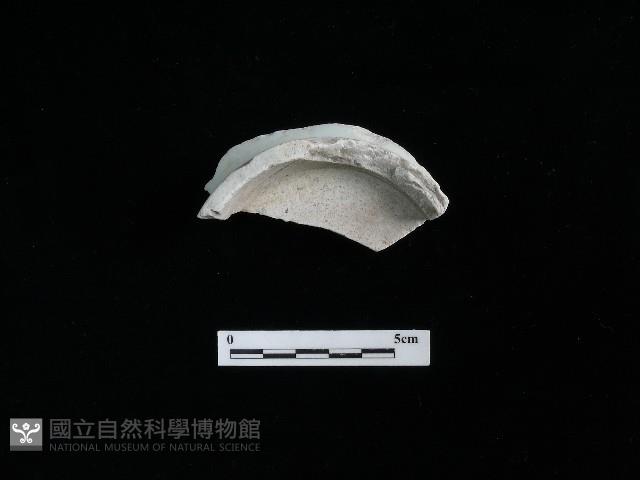 瓷碗藏品圖，第1張