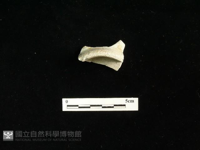 瓷碗藏品圖，第2張