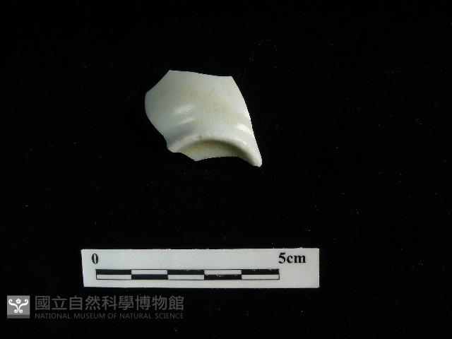 瓷杯藏品圖，第1張