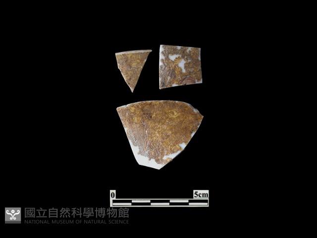 帶紋飾瓷片藏品圖，第1張