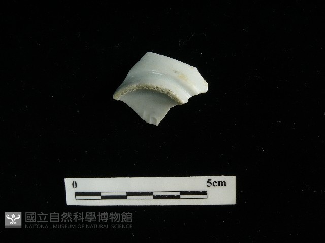 瓷杯藏品圖，第2張