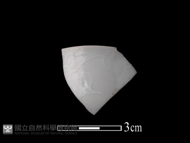 帶紋飾瓷片藏品圖，第1張