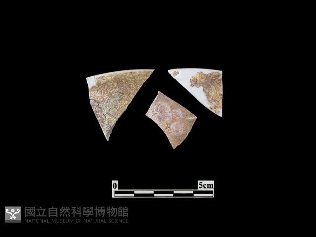 帶紋飾瓷片藏品圖，第1張