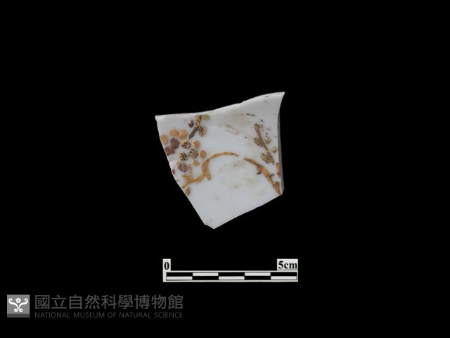 帶紋飾瓷片藏品圖，第1張