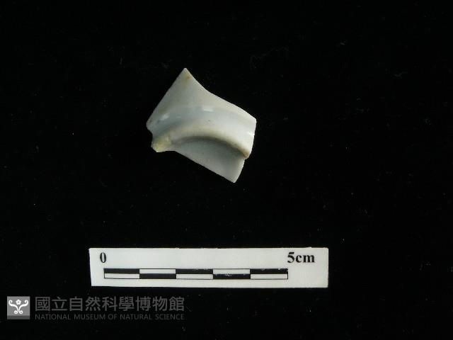 瓷杯藏品圖，第1張