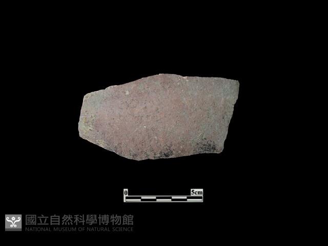 陶片藏品圖，第2張