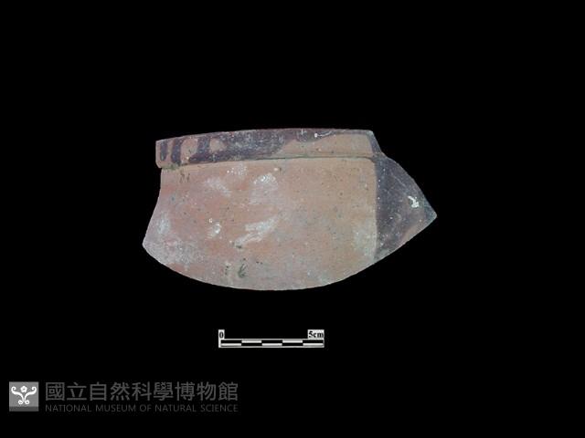 陶缸藏品圖，第1張