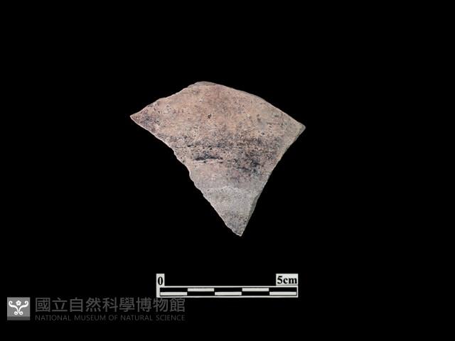 陶片藏品圖，第1張