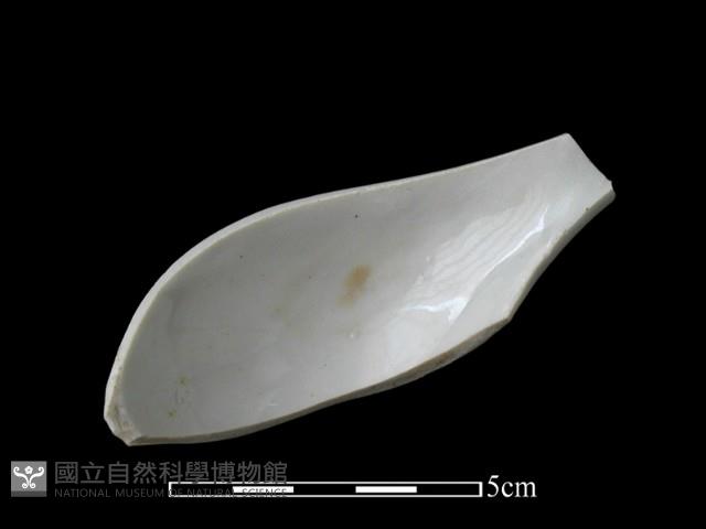 湯匙藏品圖，第1張