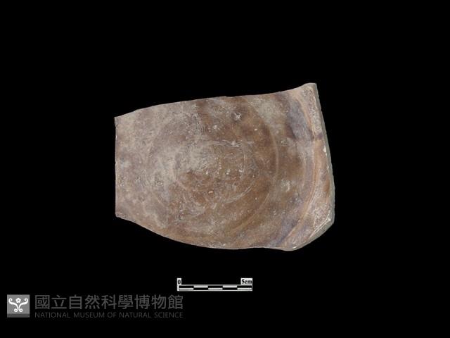 陶片藏品圖，第1張