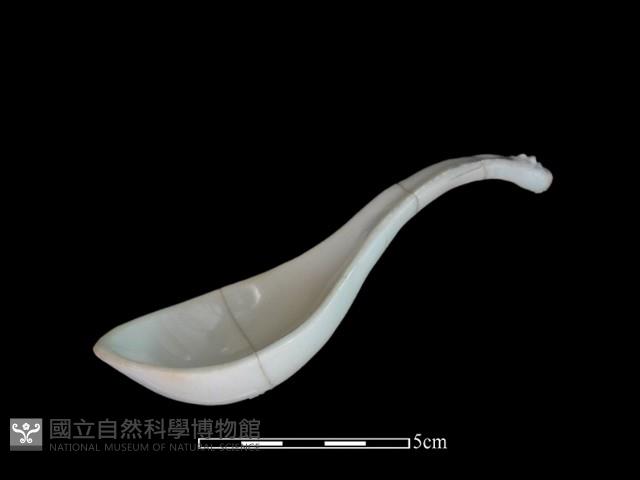 湯匙藏品圖，第1張