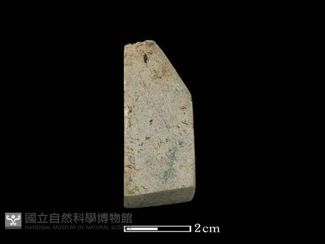 錛鑿形器藏品圖，第1張