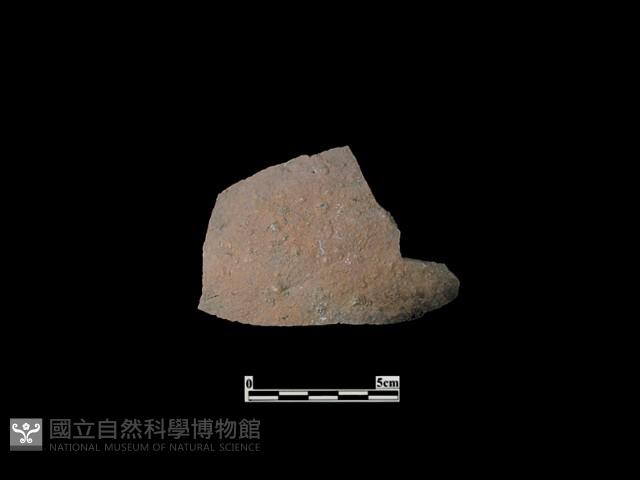 陶片藏品圖，第2張