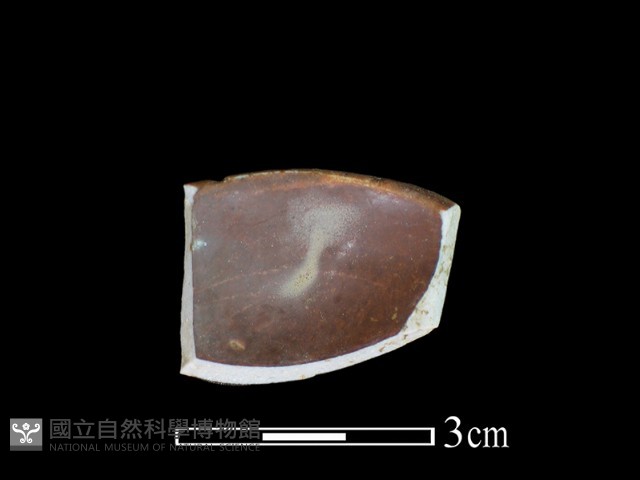 湯匙藏品圖，第2張