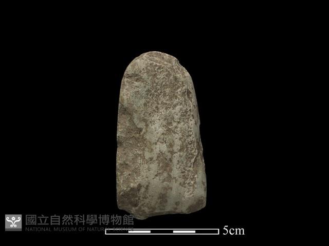 Accession Number:SLS015 Collection Image, Figure 1, Total 3 Figures