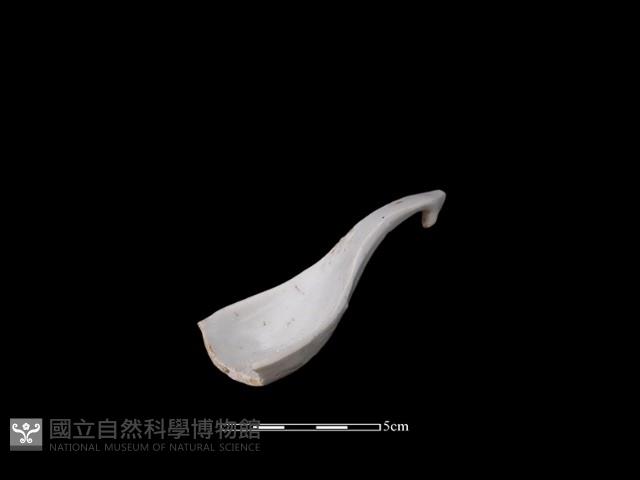 湯匙藏品圖，第1張