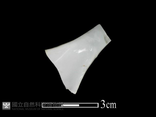 湯匙藏品圖，第1張