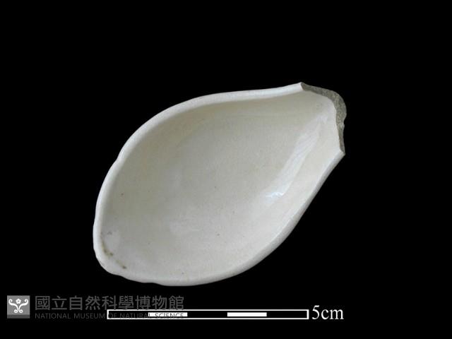 湯匙藏品圖，第1張